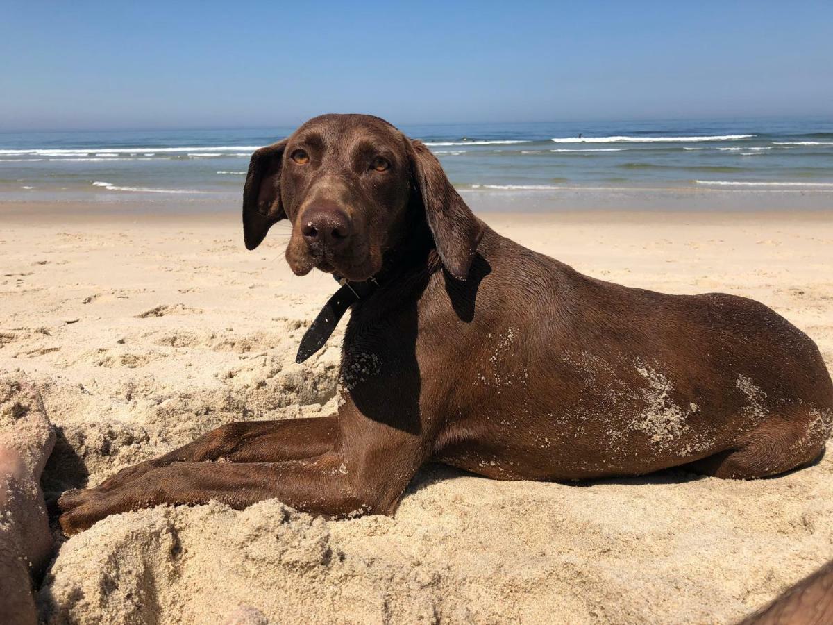 Beachliving Cortegaca Kültér fotó